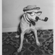 Illustration for article titled Even In The 1900s, Humans Were Obsessed With Photos Of Dogs In Clothes